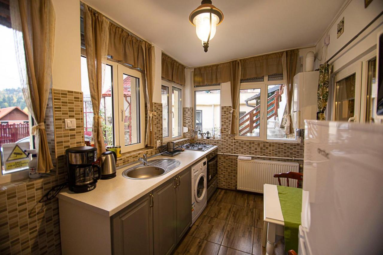 Apartament Casa Sara Sinaia Zewnętrze zdjęcie