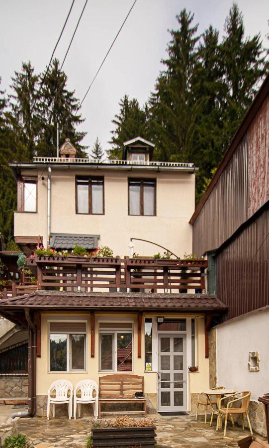 Apartament Casa Sara Sinaia Zewnętrze zdjęcie